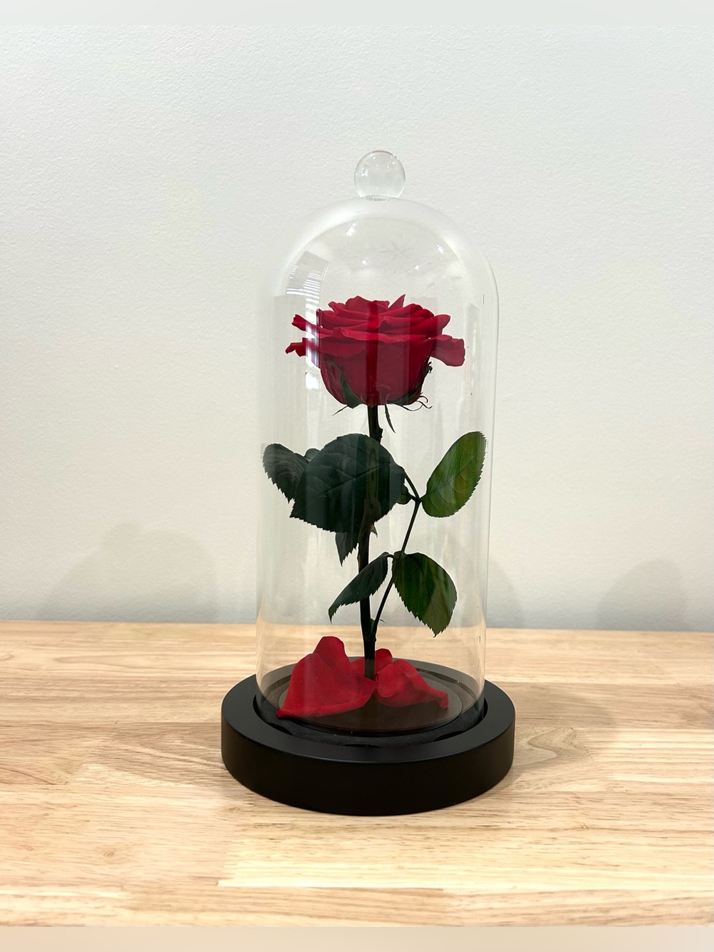 Luxury Preserved Red Rose Glass Cloche Dome Black Base Romantic Decor